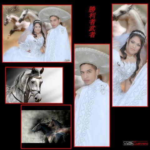 Sin Nombre