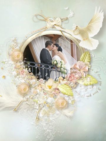 Sin Nombre